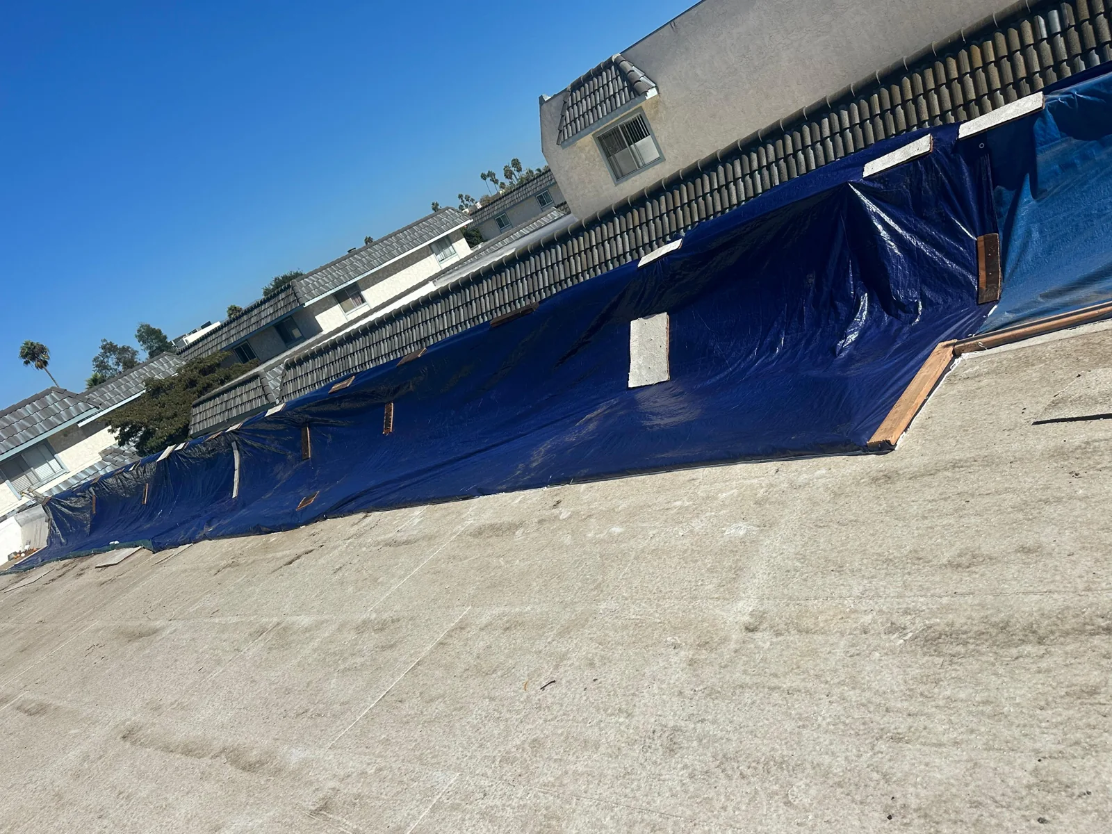 Blue protective sheeting secured along an exposed roof area